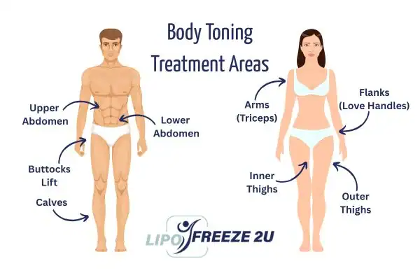 Graphic showing where you can have Body toning Treatment Wincanton on your body